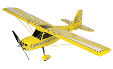 ParkZone Super Decathlon electric rc airplane