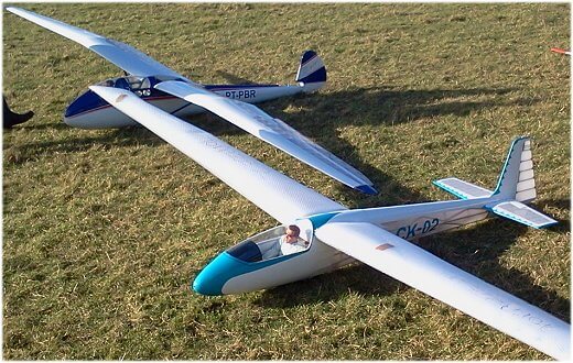 remote control glider plane